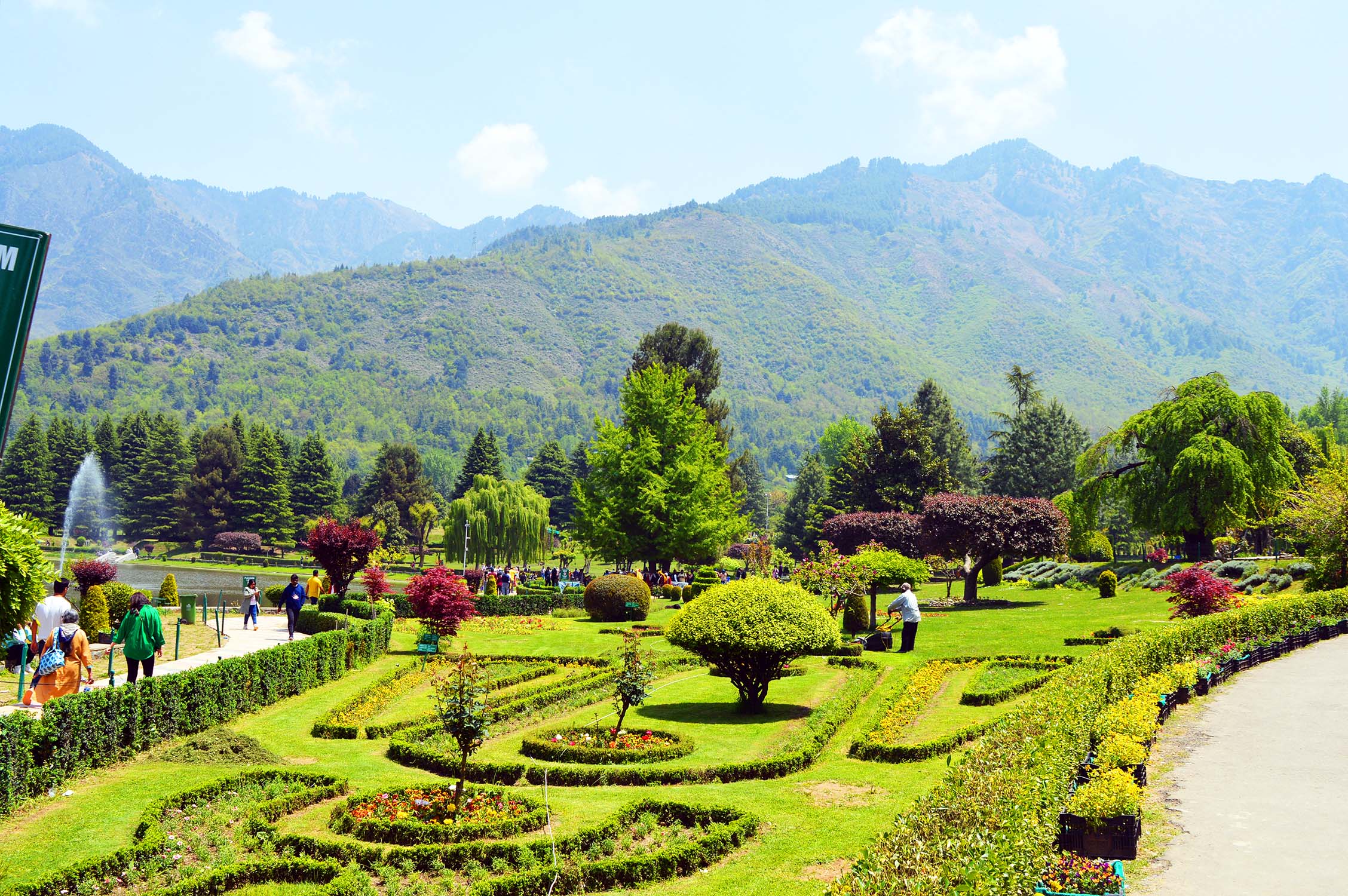 A description of the image